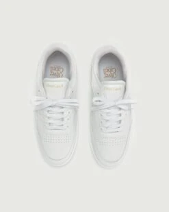 Vegan 581 | White -Oliver Cabell WHITE4