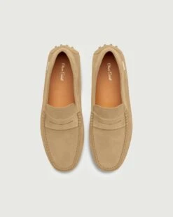 Driver | Sand -Oliver Cabell hjtytr 4e3a081c 9c4d 4faf 9c1a d859173df4e7