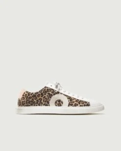 Low 1 | Leopard