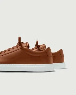 Low 1 | Lion (Orthopedic) -Oliver Cabell lowlionn2 b751b4a2 9495 4402 988d 4a336f5aaa0d 1