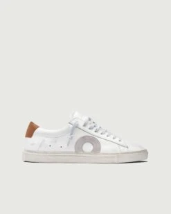 Low 1 | Marsala (Orthopedic)