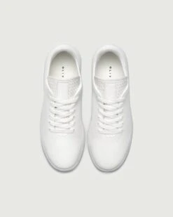 Phoenix | White -Oliver Cabell phxwht4