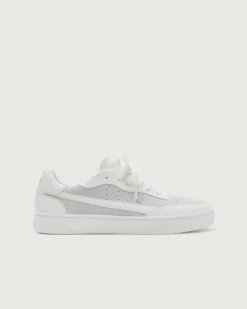 Vegan 581 | Sea Salt